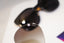 PRADA Womens Designer Sunglasses Black Butterfly SPR 10R 1AB-0A7 15258