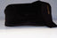 TOM FORD Womens Designer Sunglasses Black Cat Eye Edita TF 384 01A 21472