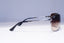 RAY-BAN Mens Designer Sunglasses Silver Shield RB 3466 004/13 20364