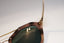 PRADA Womens Designer Mirror Sunglasses Brown Cinema SPR 12Q USG-5L2 15283